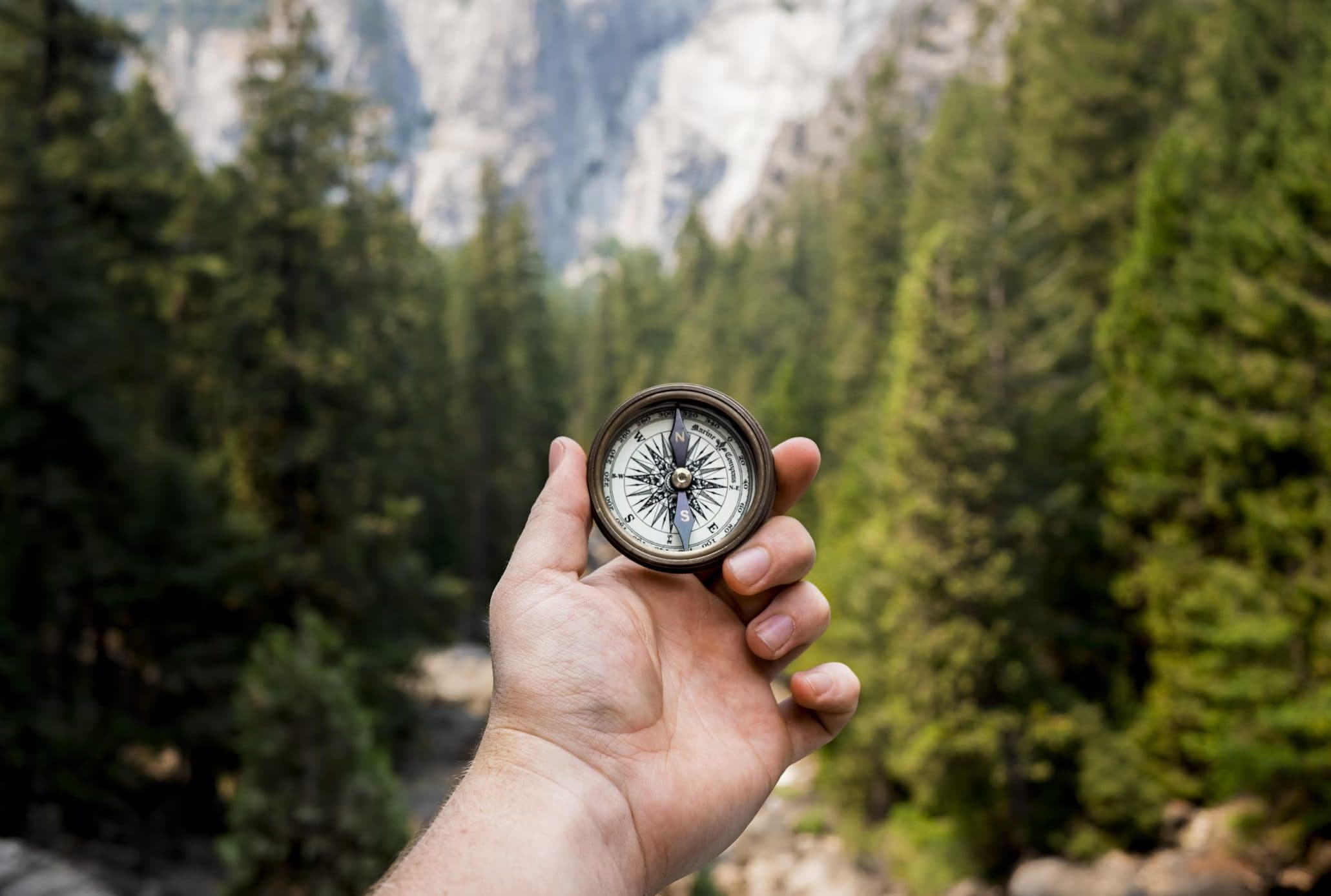 A hand holding a compass in a forest valley